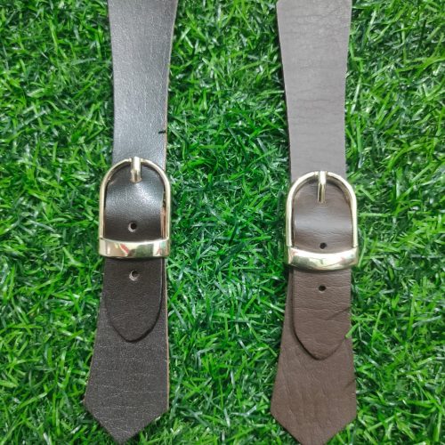 WhatsApp Image 2026-02-26 at 4.08.35 PM